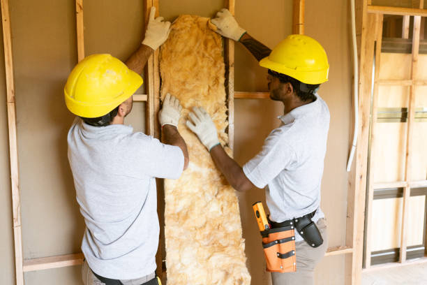 Best Fireproof Insulation  in Rio Grande City, TX